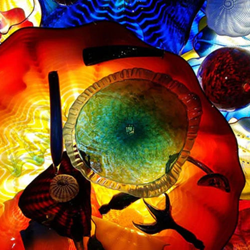 DIY Window Graphics Installation