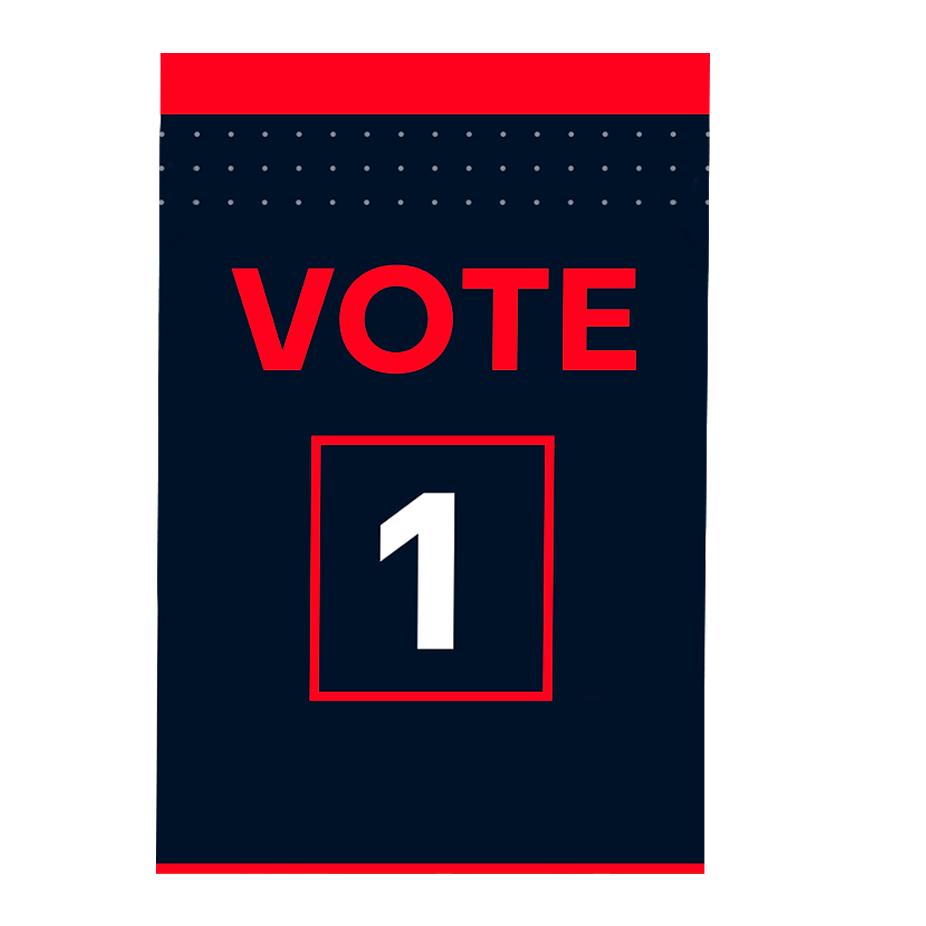 Election Signs