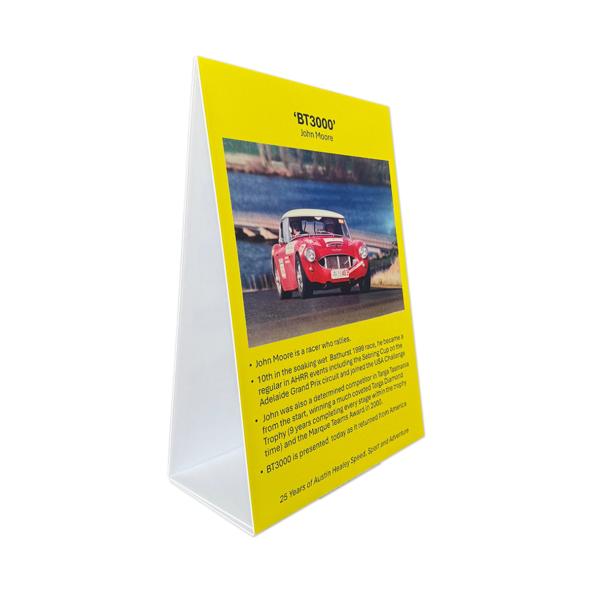 Banner Printing Services